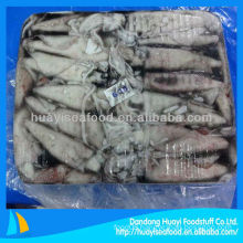 best new quality wholesale fresh squid